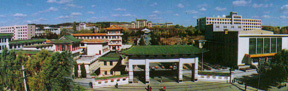 Yunbyun2.jpg (23516 bytes)