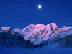 01.gif (3404 bytes)