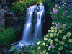 05.gif (4513 bytes)
