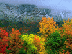 10.gif (4679 bytes)